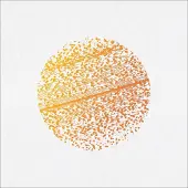 Suburban The Gathering - Beautiful Distortion