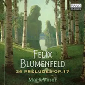 Brilliant Classics Mark Viner - 24 Preludes 17 [Compact Discs]