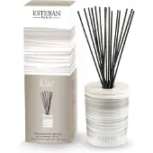 Esteban Bouquet parfumé décoratif - Rêve blanc - TS