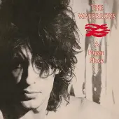 Proper Mainland Europe The Waterboys - Pagan Place [Compact Discs]