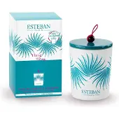 Esteban Bougie déco parfumée rechargeable