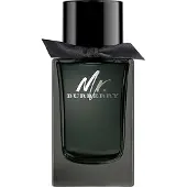 Burberry Mr. EDP 30 ml