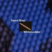 Cd White Ladder - Dlx