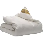 Ten Cate Couette - Couette 140 x 200 - Couette en duvet - Couettes - Couette 4 saisons 140x200 - 90% duvet d'oie - Couette été & hiver
