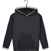Adidas Sweat à Capuche All Szn Pullover