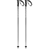 Völkl Bâtons Phantastick Iii