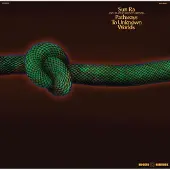 Import Pathways To Unknown Worlds
