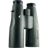 Swarovski SLC 10x56 W B Jumelles