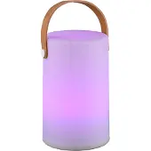 Reality Lampe de table Aruba