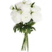 Atmosphera Bouquet de Fleurs artificielles 13 Pivoines blanches H 50 cm
