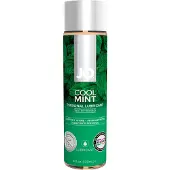 System Jo H2O STRAWBERRY gel lubrifiant aromatisé 120 ml