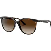 Ray-Ban Sunglasses RB4378 710/13