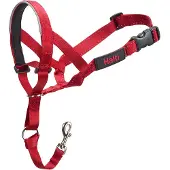 Halti Training Collar Rouge 40-54 cm