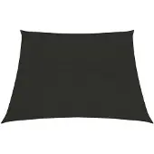 vidaXL Voile d'ombrage 160 g/m² noir 3/4x2 m HDPE