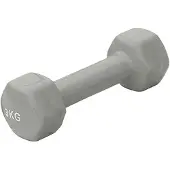Sporti France Vinyl 3kg Dumbbell 2 Units Argenté 3 kg