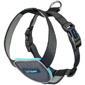 Company of animals Harnais Pour Chien Carsafe Travel Dog
