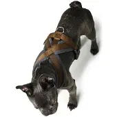 Hunter Harnais London Comfort, Taille:S-M/1, Couleur:marron