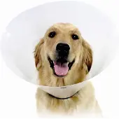 Kvp Collerette Pour Chien Check