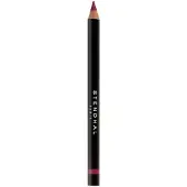 Stendhal Crayon à Lèvres Crayon Lèvres Précision 303