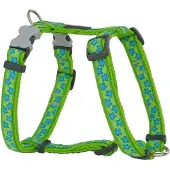 Red Dingo Harnais pour chien Style étoile vert 30-48 cm