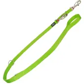 Red Dingo Laisse Pour Chien