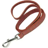Gloria Laisse Pour Chien Oasis