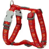 Red Dingo Harnais Pour Chien Style Huella