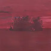 Jagjaguwar The Besnard Lakes Are The Divine Wind