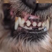 Konkurrent World Eater