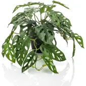Emerald Buisson Monstera artificiel Monkey 55 cm en pot