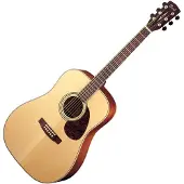 Cort Earth E100ns Natural Satin
