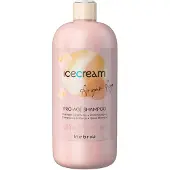 Inebrya Argan-Age Pro-Age Shampoo shampoing à l'huile d'argan brillance 1000 ml
