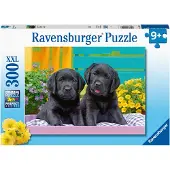 Ravensburger Labradors noirs, 300pcs.