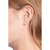 Tommy Hilfiger 2780724 Earrings Argenté Femme