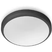 Philips Plafonnier LED d'extérieur Applique Doris Lumière blanche froide 6W IP54