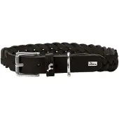 Hunter Collier Solid Education Special (Chien)