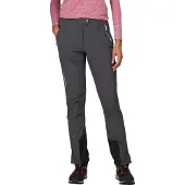 Regatta Mountain Iii Pants Gris 36 / Regular Femme