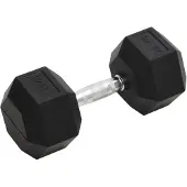 vidaXL Haltère court 22,5 kg en fonte