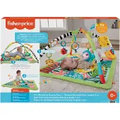 Fisher-Price 3 In 1 Sensory Gym Selva Tropicla Multicolore