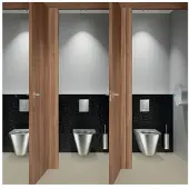 Delabie ensemble brosse WC. Montage mural avec cache. Acier inoxydable poli miroir
