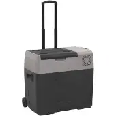 vidaXL Glacière avec roulettes et poignée Noir & Gris 50 L Polypropylène