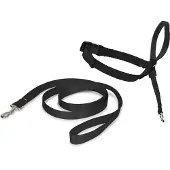 Nayeco Laisse Pour Chien Easy Walk Holder