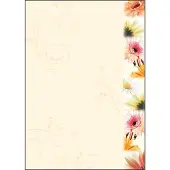 Sigel Document de motivation (A4, 90 g/m²)