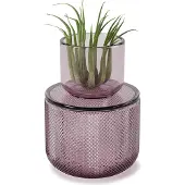 Umbra Pot en verre avec couvercle Allira violet