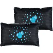 Wenko Déshumidificateur pour voiture avec indicateur 400 g