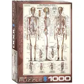 Eurographics Le squelette 1000 pièces puzzle