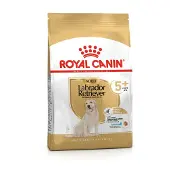 Royal Canin Labrador Retriever Adult 5+ 12 kg