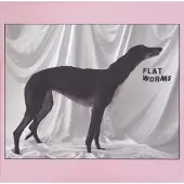 Sonic Flat Worms - Flat Worms [Vinyl]