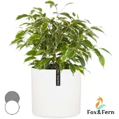 Fox & Fern Pot de fleurs Venlo polystone intérieur et extérieur 3 tailles