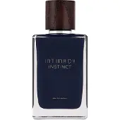 INTIMACY Instinct EAU DE PARFUM 100 ML